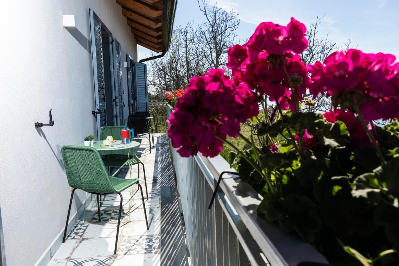 Plein Sud Agerola Bed and Breakfast San Lazzaro di Agerola Εξωτερικό φωτογραφία